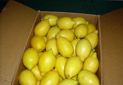 【新西蘭檸檬代理 清關(guān)服務(wù)代理 北京上海專(zhuān)業(yè)報(bào)關(guān)行為您服務(wù)】?jī)r(jià)格_廠(chǎng)家_圖片