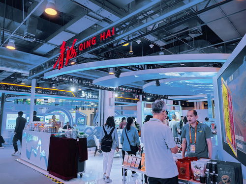 綠色,來(lái)自三江源的一抹 亮色 2024年服貿(mào)會(huì)一線(xiàn)見(jiàn)聞之三