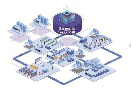 用SaaS系統做生鮮供應鏈 觀麥6年服務企業超6800家